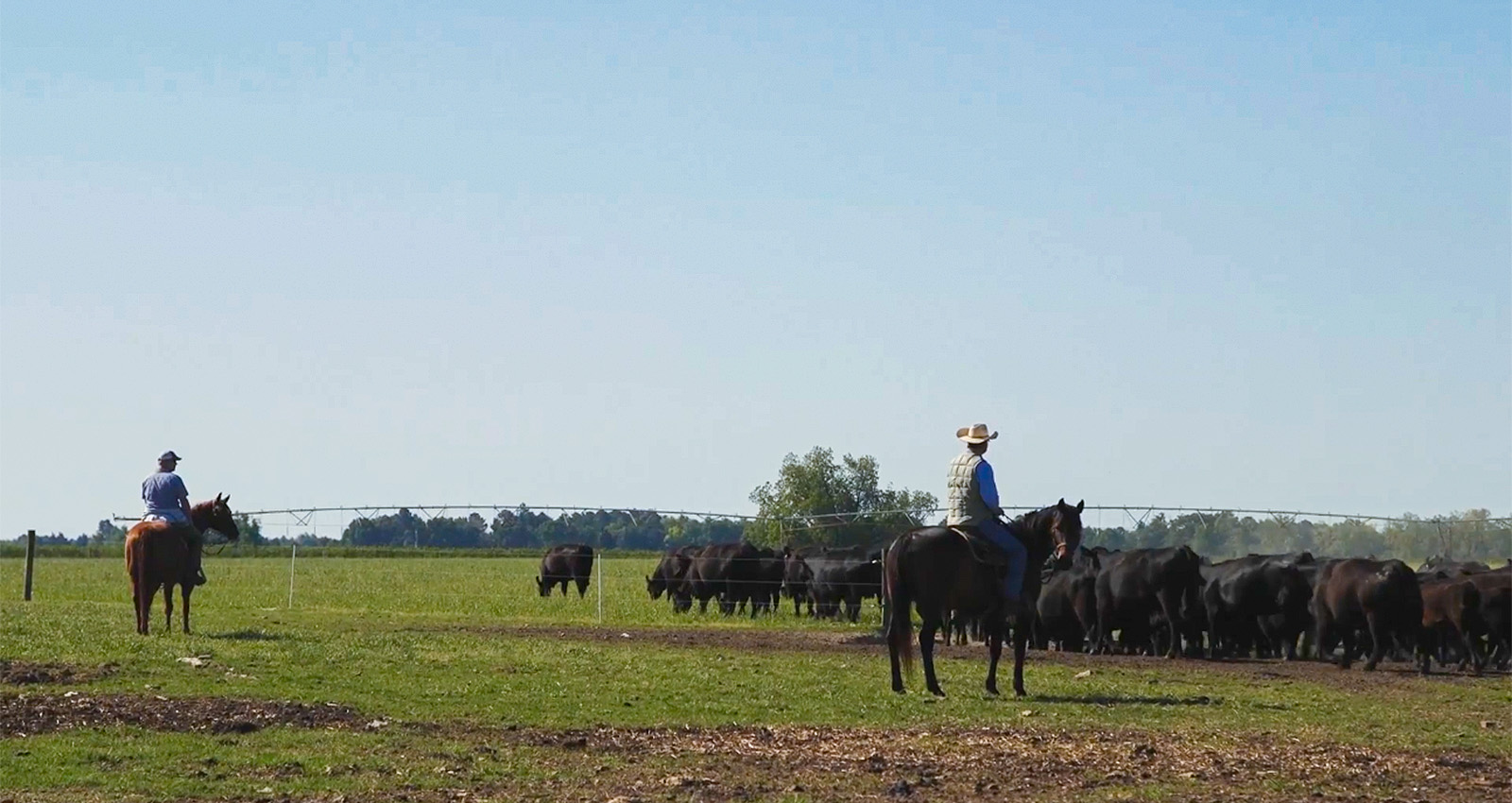 CAB rancher in a field CAB rancher in a field
