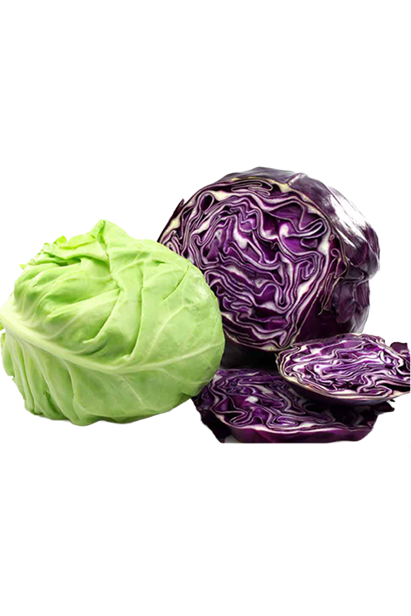 Cabbage is the Vegetable of the year Cabbage is the Vegetable of the year