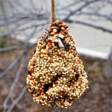 Pine Cone Bird Feeder Recipe From Price Chopper